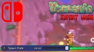 Nintendo Switch  Terraria but its at MAX SPAWN RATE Expert Mode Challenge [upl. by Marquis]