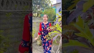 LOVELY SONG 💓🥰4K STATUS FULL SCREEN ✨ WHATSAPP ✨ shortyoutube lovestatuslove 4kstatus shorts [upl. by Attiuqal]