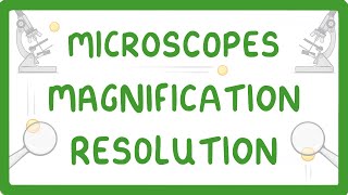 GCSE Biology  What is Microscopy 5 [upl. by Yrac957]