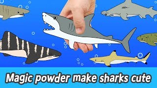 EN Magic powder make sharks cute animals names for kids coco animal animation collectaㅣCoCosToy [upl. by Kotick274]