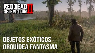 Red Dead Redemption 2  Guía Localización Orquídea Fantasma [upl. by Ydneh8]