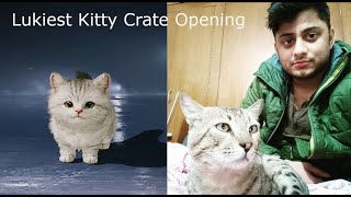 Luckiest Kitty Crate Opening [upl. by Adin]