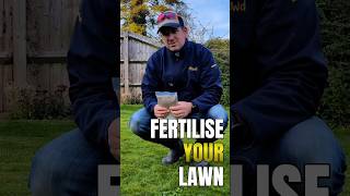 When is the best time to use fertiliser for the best lawncare results shorts [upl. by Ytirehc489]