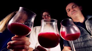 Preview WineMasters France Beaujolais S5E2 [upl. by Ainollopa]