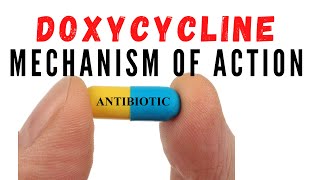 Doxycycline uses against acne and chlamydia  Mechanism of action [upl. by Genesia]