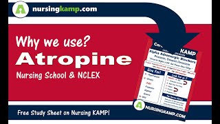 What is Atropine Bradycardia ACLS Cardiac Medications Atropine NCLEX Meds Nursing KAMP 2019 [upl. by Ahsiuqal]