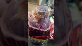 Welch’s wine juice update 10 days diy home life [upl. by Aiel]