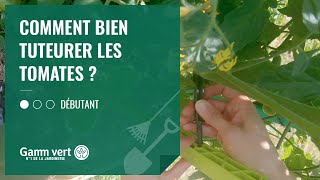 TUTO Comment bien tuteurer les tomates  Jardinerie Gamm vert [upl. by Nidraj245]