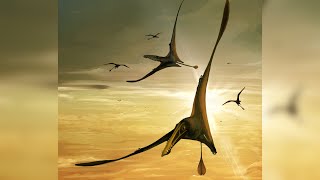 Largest Pterosaur From Jurassic Unearthed in Scotland [upl. by Leifer]