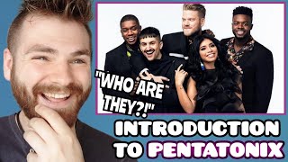 WHO ARE PENTATONIX  Beginners Guide to Pentatonix  REACTION [upl. by Ahsuas]