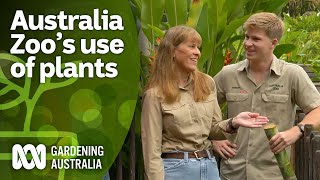 Terri and Robert Irwin explain why plants are essential to Australia Zoo  Gardening Australia [upl. by Mclaughlin]