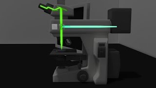 Fluorescence Microscopy Animation [upl. by Moselle]