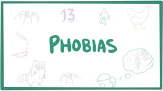 Phobias  specific phobias agoraphobia amp social phobia [upl. by Eeresed]