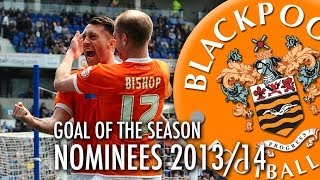 Goal Of The Season Nominees 201314 [upl. by Sean]