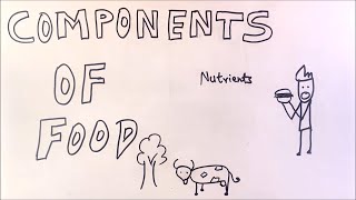 Components Of Food  ep01  BKP  class 6 science chapter 2 full explanation in hindi cbse ncert ch2 [upl. by Gathard180]