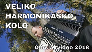 Veliko harmonikaško kolo  Vlada Veselinović Nova kola OFFICIAL VIDEO 2018 [upl. by Flowers361]