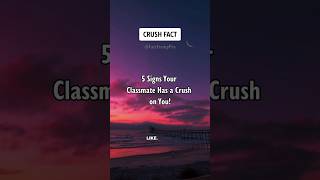 5 Signs Your Classmate Has a Crush on You Crush Facts shorts psychologyfacts [upl. by Giles]