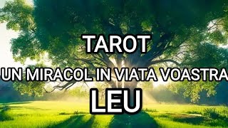 🌞LEU🌞UN MIRACOL IN VIATA VOASTRA 🌞ECHILIBRUPROGRES🌞tarot leu [upl. by Colburn]