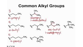 Common Alkyl Groups [upl. by Blancha415]