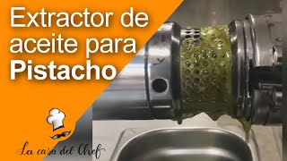 Extractor de Aceite de Pistacho Eficiencia y Calidad en Prensado en Frío [upl. by Bussey745]