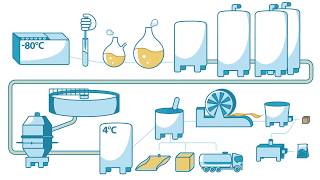 How yeast is made  Lesaffre [upl. by Rother]