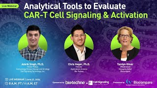 Analytical Tools to Evaluate CART Cell Signaling amp Activation [upl. by Bassett783]