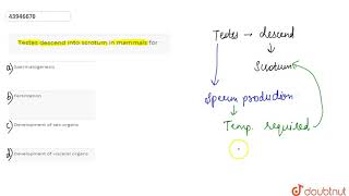 Testes descend into scrotum in mammals for [upl. by Addia]