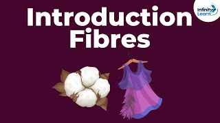 Fibres to Fabrics  Introduction  Types of Fibres  Dont Memorise [upl. by Rodi]