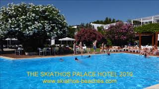 Skiathos Palace Hotel 2019  Video Nr1901 [upl. by Yeffej]