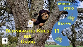 Moselsteig Etappe 11 Von BernkastelKues nach Ürzig [upl. by Karry967]