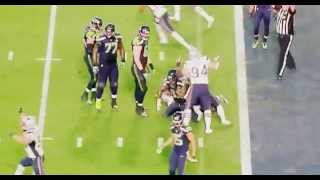 Malcolm Butlers game winning interception  Super Bowl XLIX 49  Patriots vs Seahawks [upl. by Filmer973]