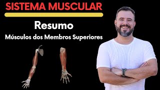 RESUMO DOS MÚSCULOS DOS MEMBROS SUPERIORES BRAÇO ANTEBRAÇO PUNHO E DEDOS anatomy biologia [upl. by Noe841]