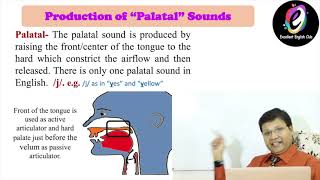 Place of Articulation  Phonetics Phonology English Version  Lesson No 17 [upl. by Laira]