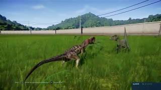 VélociRaptor Vs Dilophosaurus  Jurassic World Evolution  Ps4 [upl. by Hogan]