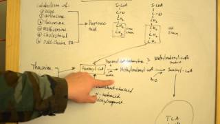 Proprionic Acidemia  Simplified Explanations for USMLE Step 1 [upl. by Simson550]