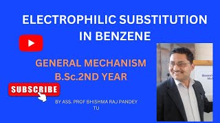 electrophilicsubstitutioninbenzenegeneralmechanismbsc2ndyear [upl. by Aneel]