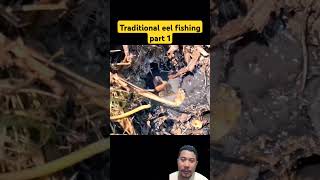 Traditional eel fishing part 1 fishing mancingmania fish duniamancing bigfish mancing [upl. by Wera]