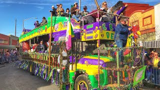 Traditional Cajun Country Mardi Gras Experience  Eunice and Mamou Louisiana [upl. by Eerb]