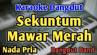 SEKUNTUM MAWAR MERAH  KARAOKE  NADA PRIA COWOK  Dangdut Band  Elvy Sukaesih  Live Keyboard [upl. by Aicena268]