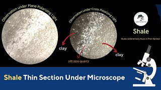 Shale Thin Section under Microscope with optical Properties of Rocks [upl. by Morten22]