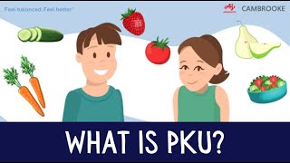 What is PKU Phenylketonuria [upl. by Wallie729]