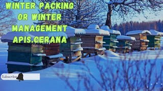 ApisCeranaWinter Season Management of Honey Bees [upl. by Llener]