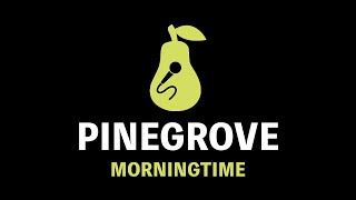 Pinegrove  Morningtime Karaoke [upl. by Edelman]