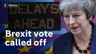 Fury as Theresa May delays Brexit vote [upl. by Isdnil]