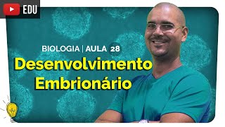 Tipos de Segmentação  Mórula Blástula Gástrula e Nêurula Embriologia  Biologia 28  Enem [upl. by Craddock]