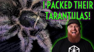 How Are TARANTULAS Packed for Shipping w Spider Shoppe [upl. by Clover]