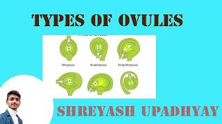 Types of ovules are coming soon I am making long video on channel BSc 2nd Year [upl. by Albrecht]