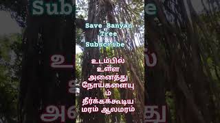 Aalapol velapol SongBanyan Tree rajinikanth Save Banyan Tree superstar rajini song [upl. by Adlitam263]