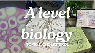 A level biology edexcel A SNAB Topic 1 Cholesterol [upl. by Senn]