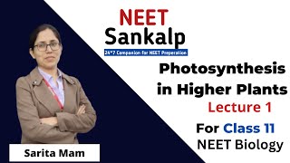 Photosynthesis in Higher Plants Class 11 NEET Biology  Class 11 Biology  Sankalp Sankalp Academy [upl. by Norrabal634]